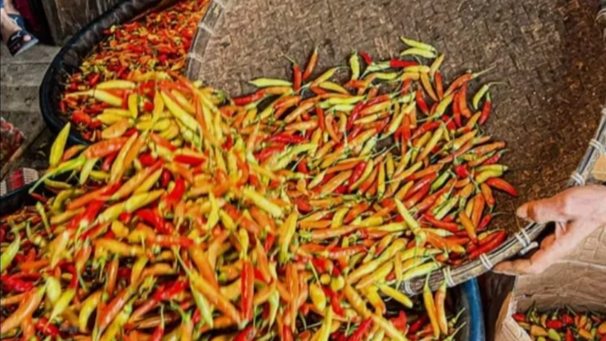 Harga Cabai di Pasar Tanjung Tabalong Naik, Stok Rawit Hijau dan Merah Menipis