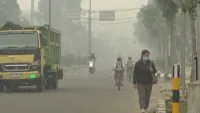 Kabut Asap Pekat Selimuti Tabalong, BPBD Sebut Kiriman Kabupaten Lain