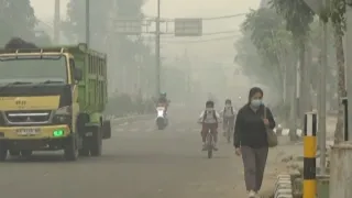 Kabut Asap Pekat Selimuti Tabalong, BPBD Sebut Kiriman Kabupaten Lain