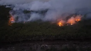 Bencana Karhutla dan Kabut Asap Sudah Darurat, MUI Serukan Taubat Nasuha