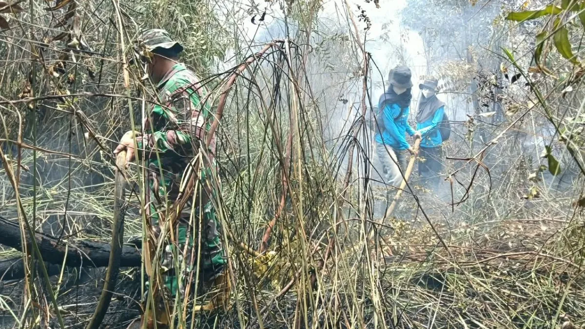 Kabut Asap Cukup Parah di Gambut, Tim Gabungan Tangani Karhutla Hingga Sore