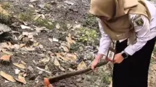 ASN Tabalong Wajib Tanam Pohon untuk Urus Layanan Kepegawaian