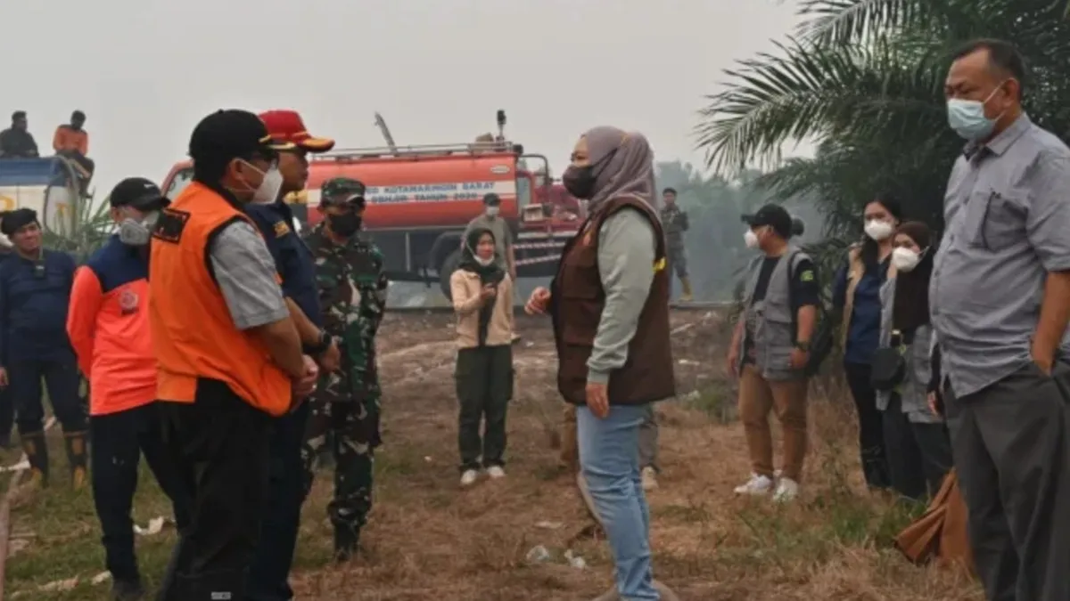 Bupati Kobar Desak Pemerintah Pusat Tangani Karhutla, Yayasan Orangutan Kalimantan Menyerah