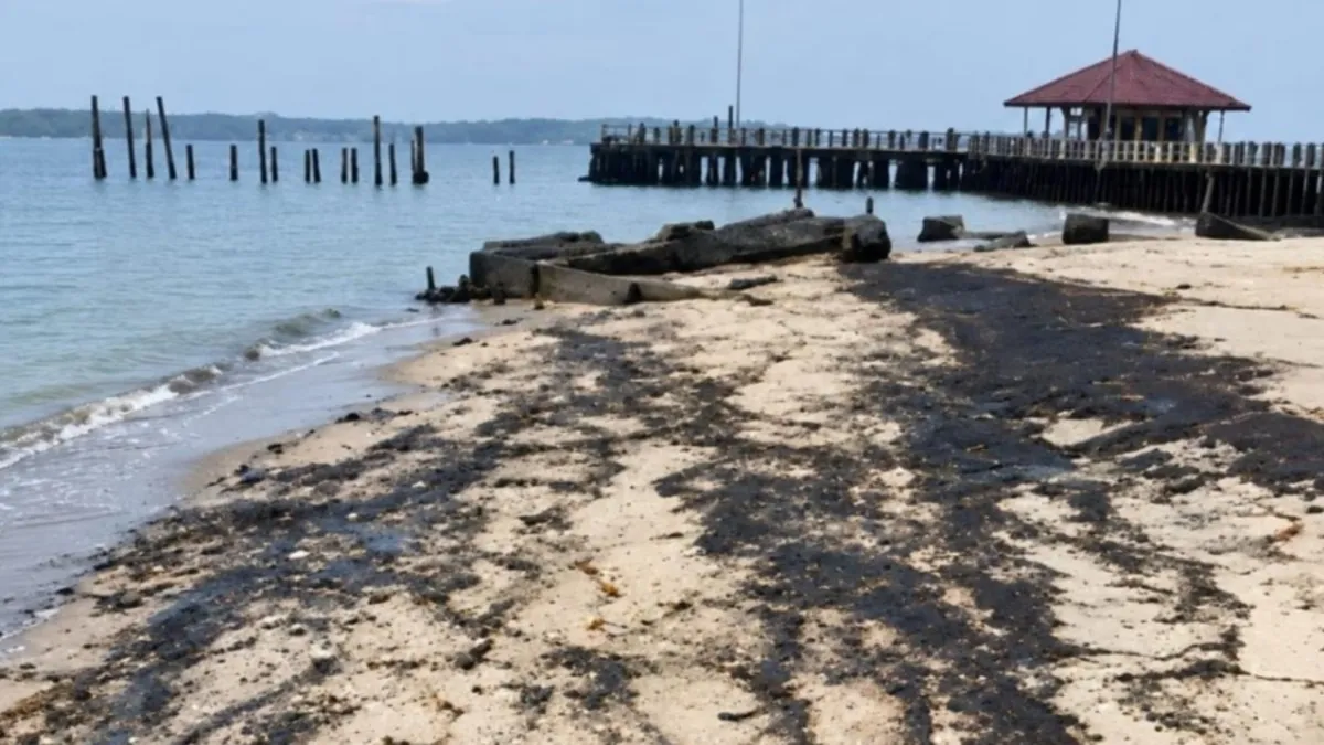 Pulau Beras Basah Bontang Tercemar Cairan Hitam, Pemko Catat Tanker yang Melintas