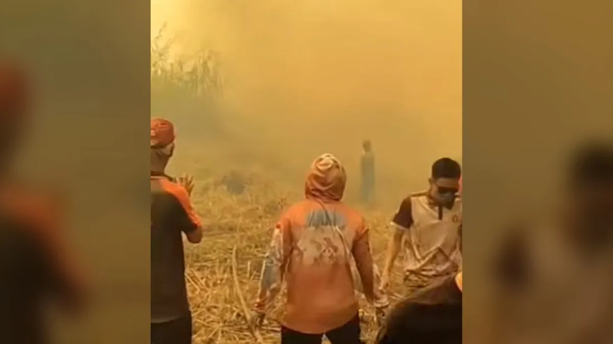 Karhutla di Tamban Batola, Pemadam Kewalahan Padamkan Api