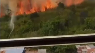 Atta Halilintar Serukan Bantu Kalimantan, Tampilkan Cuplikan Karhutla di Barito Kuala