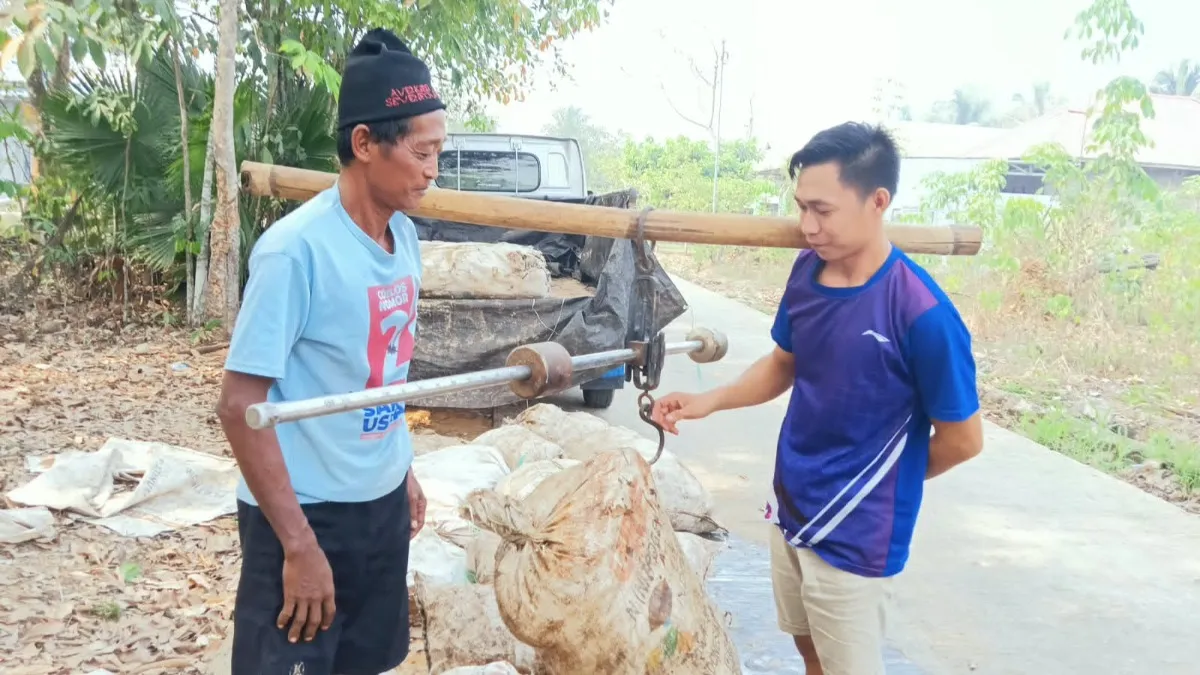 Petani Karet Tabalong Tak Bisa Nikmati Harga Rp 20.000 per Kilogram