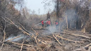 Tiga Kabupaten Masih Tanggap Darurat Karhutla, Pemprov Kalsel Terus Berupaya Turunkan Hujan