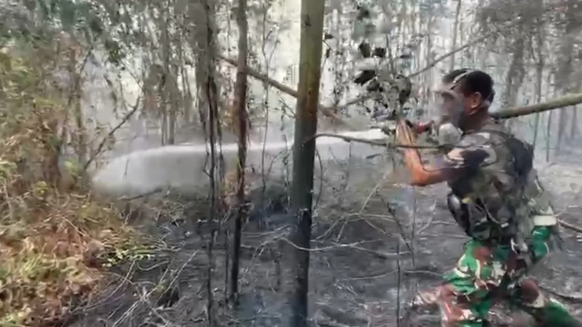 Karhutla di Landasan Ulin Banjarbaru Hanguskan 8 Hektare Lahan