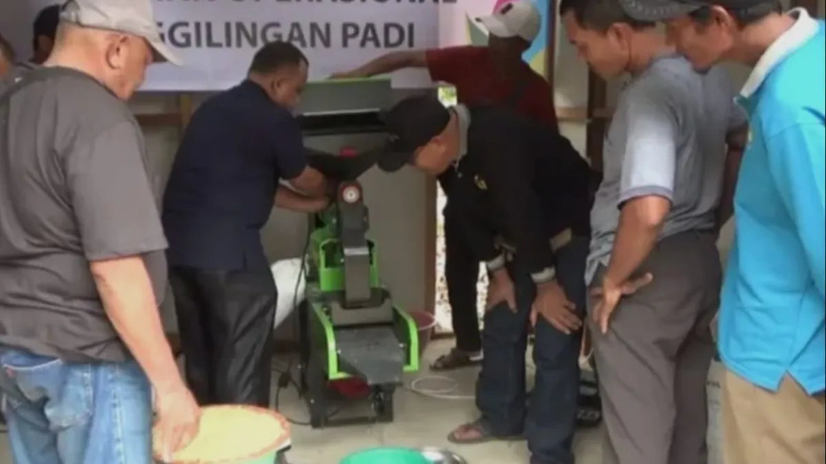 PLN Bantu Mesin Penggiling Padi Listrik untuk 183 Petani di Tabalong, Biaya Diklaim Lebih Hemat