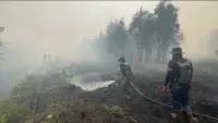 Enam Hektare Lahan di Landasan Ulin Utara Banjarbaru Terbakar