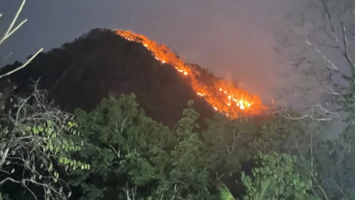 Karhutla Landa Gunung Batu Nateh HST, Api Berkobar hingga Malam