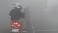 Kabut Asap Tebal di Jalan Trans Kalimantan km 20 Anjir Batola Pagi ini