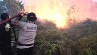 Kapolda Kalsel Pimpin Pemadaman Karhutla di Banjarbaru, Minta Warga Setop Bakar Lahan
