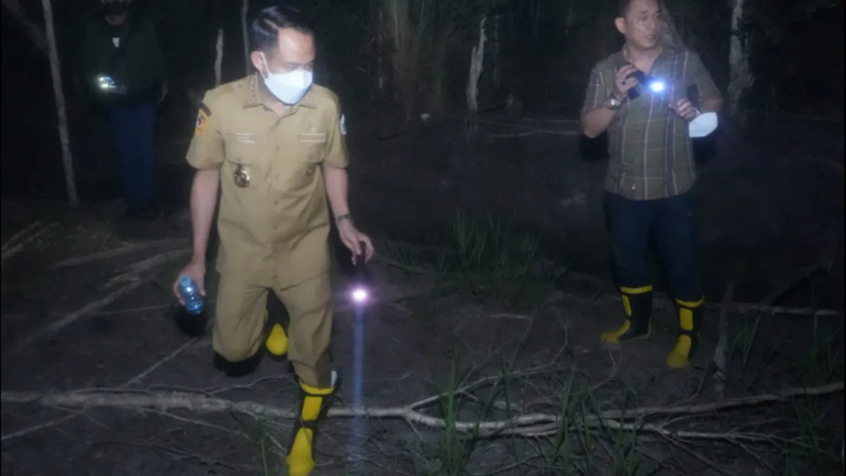Karhutla Dekati Balai Kota Palangka Raya, Satgas Sebut Sisa Kebakaran Sebelumnya