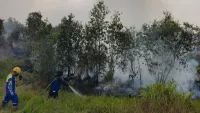 Karhutla Hanguskan 25 Hektare Lahan Guntung Damar Banjarbaru hingga Hari Keempat