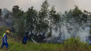 Hujan Mulai Turun, Masih Ada 3.392 Hektare Lahan Terbakar di Kalsel, Kalteng dan Kalbar