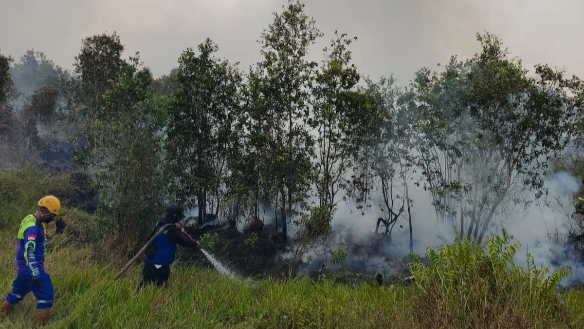 Karhutla Hanguskan 25 Hektare Lahan Guntung Damar Banjarbaru hingga Hari Keempat