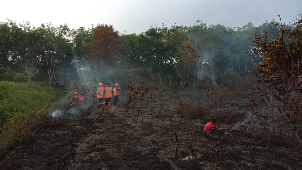 Seratus Hektare Lebih Kebun Karet di Tabalong Terbakar, DKPPP Bentuk Kelompok Tani Peduli Api