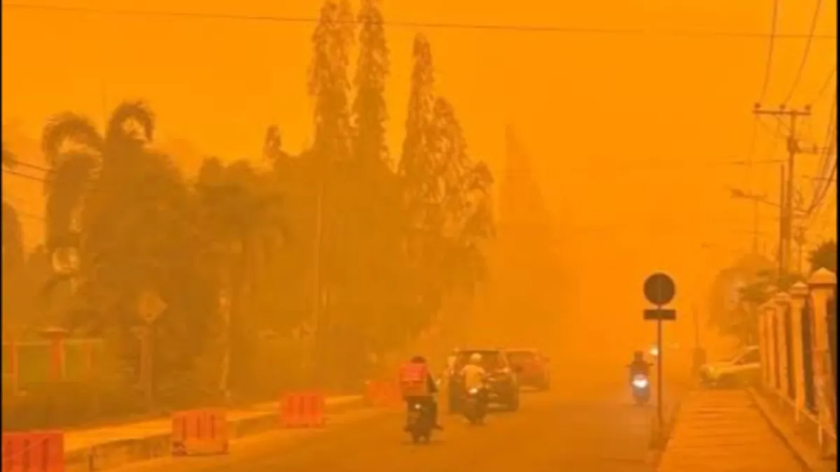 Kabut Asap Palangka Raya Menguning Lagi, Warga Tuntut Pemerintah Pusat Tangani Karhutla