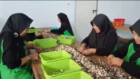 Banjarbaru Punya Pusat Pengolahan Kemiri, Tampung Hasil Panen Petani Hutan