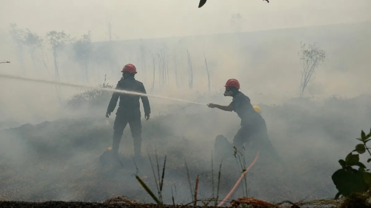 Dilema Karhutla di Kabupaten Banjar, Bara Tersembunyi di Dalam Tanah hingga Air Minim