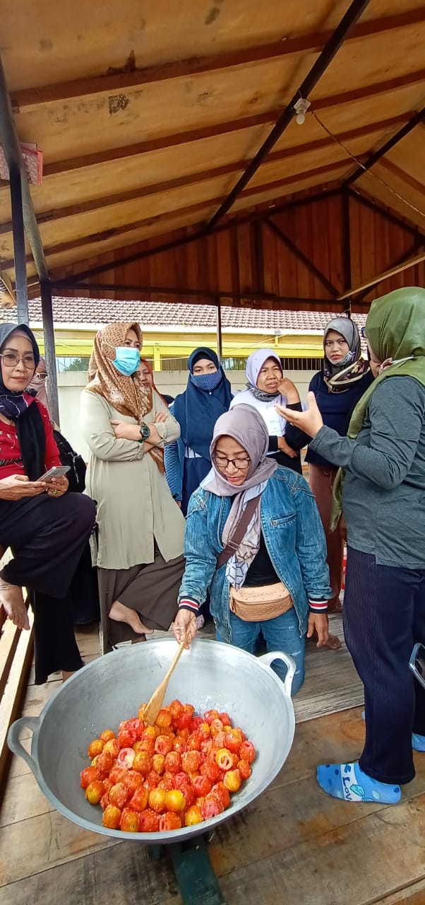 Cara Mengolah Manisan Tomat Sederhana dan Layak Jual, Rumah Kreasi Tomat Banjarbaru Ungkap Rahasianya