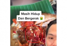 Hiii, Pria Ini Temukan Belatung di Ayam Geprek