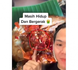 Ulat di menu ayam (ig lambeturah_official)