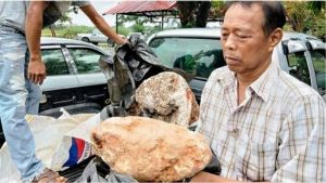 Nelayan Thailand temukan batu muntahan paus atau ambergris. (net)