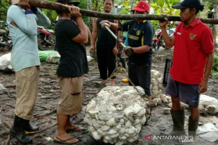 Petani karet di Kabupaten HSU menjual hasil produksi karet kepada UPPB, Senin. (Antaranews Kalsel/Dinas Pertanian HSU/ Eddy Abdillah)