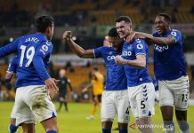 Liga Inggris: Wolves Melorot ke Posisi 14 Usai Ditekuk Everton