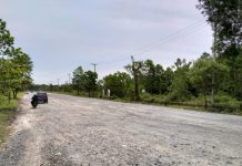 Tahun Ini Jalan Menuju Bandara Syamsudin Mulus Seluruhnya