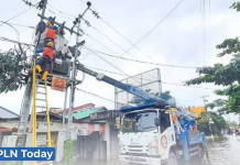 PLN Tambahkan Biomassa ke Tungku PLTU Batu Bara untuk Kurangi Emisi Karbon