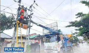 Petugas PLN Kalselteng melakukan pengamanan jaringan agar tidak membahayakan di saat musibah banjir. (istimewa)