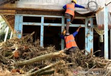 PLN Mulai Rapikan Jaringan di HST, 15 Batang Tiang Listrik Roboh