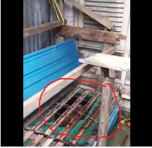 Buaya di Lokbaintan (@habarbanua_terkini)