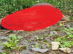 Mayat pria di Sungai Rangas Ulu, Kabupaten Banjar. (ig info banua)