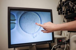 Ilustrasi proses bayi tabung (Photo by Ivan Couronne / AFP) / TO GO WITH AFP STORY by Ivan COURONNE, "In US, relaxed IVF laws help would-be parents realize dreams" (Photo by IVAN COURONNE/AFP via Getty Images)