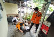 Biawak Masuki Rumah di Kompleks Bina Brata, Petugas Ini yang Evakuasi