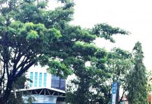 Jalan A Yani Km 16 Gambut Lumpuh, Kantor Unit Bank Kalsel Terendam
