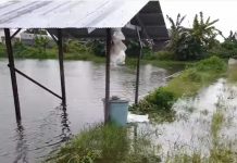 Banjir di Kabupaten Banjar, Petambak Ikan Merugi