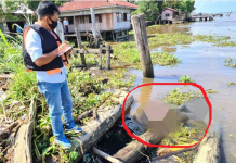 Penemuan Mayat Laki-laki di Tepi Sungai Barito Sekitar Pulau Bromo
