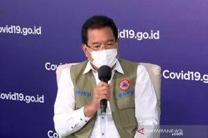 Prof Wiku Adisasmito (antara)