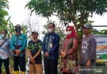 Setelah Dikunjungi Sukamta, Begini Dua Rumah Warga Tala yang Hancur Disapu Puting Beliung