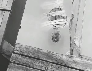 Mayat di Grand Purnama Handil Bakti (@sekilas.info.kalimantan)