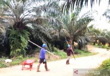 Masyarakat Dayak Kutim Unjuk Rasa Terkait Ganti Rugi Lahan Sawit
