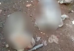 Foto bangkai kucing yang berserakan diunggah di media sosial.