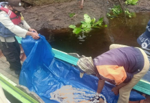 Potongan Tubuh Tercabik Ditemukan di Sungai Sebangau Pulang Pisau