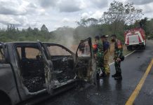 Mobil Petugas Kehutanan Dibakar Saat Patroli Illegal Logging